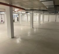 Spacious commercial premises with large floor area and flat ceiling.