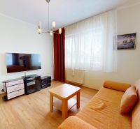 Living room in a 3-room apartment with a wooden decor floor, a sofa, and a television.