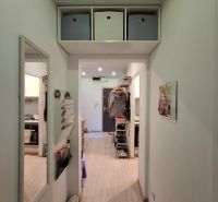 A hallway with a wooden decor floor in a 3-room apartment with storage boxes.