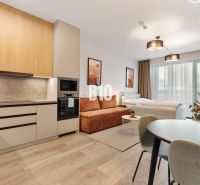 The kitchen and living area of a studio apartment with a wooden decor floor.