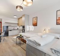 Stylish 1-room apartment with wood-patterned flooring and cozy furniture.
