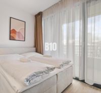 A bedroom with a bed, a nightstand, a painting, and sheer curtains in a studio apartment.