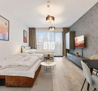 A comfortable living space in a studio apartment with wood-patterned flooring and large windows.