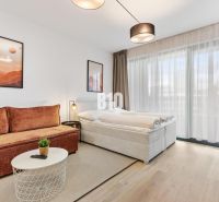 Living area of a studio apartment with a sofa, bed, and wood-patterned flooring.