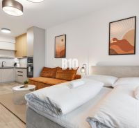 Interior of a 1-bedroom apartment with wood-patterned flooring, kitchen, and bed.