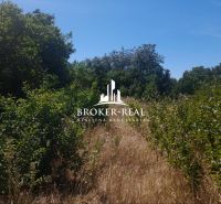 A plot in Csobád overgrown with grass and trees, suitable for a family house.
