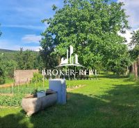The garden of a family house in Gönc with plenty of greenery and mature trees.