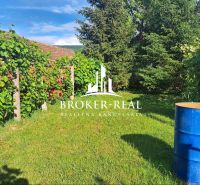 A garden at a family house in Gönc with grapevines and a blue barrel.