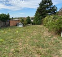The garden of a family house in Zvončín with a lawn and trees on Zvončín street.