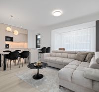 Living room in a 3-room apartment with a comfortable sofa and a kitchenette.