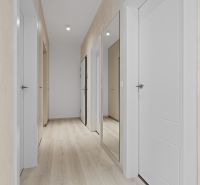 A hallway with white doors, a mirror, and a wooden decor floor in a 3-room apartment.