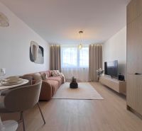 A living room in a 3-room apartment with a wooden decor floor, a sofa, and a dining table.