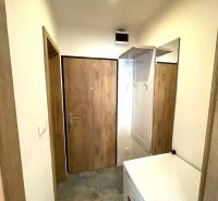 The studio apartment has an entrance hallway with wooden doors and a wardrobe.