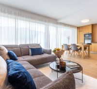Living room in a family house with a sofa, dining table, and wooden decor flooring.