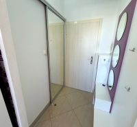 Entrance hallway in a one-room apartment with tiles and a mirrored wardrobe.