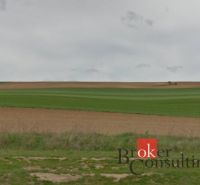 Vast green fields in Lužianky, suitable for residential plots.