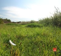 Sunny plots - living in Nitra with lush vegetation and blue skies.