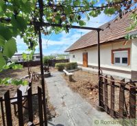 The yard at the family house in Kamenica nad Hronom with a pergola and a bench.
