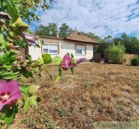 A family house in Kamenica nad Hronom, surrounded by flowers and dry grass on the property.