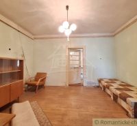 A living room in a family house with wooden decor and retro furniture.