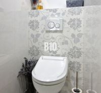 Simply furnished toilet with decorative tiles and a wooden-patterned floor.