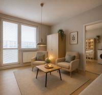 Living room with wood-patterned flooring, furniture, and plants in a studio apartment.