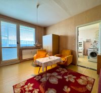 Interior of a 1-room apartment with carpet and furniture, dishwasher in the kitchen.