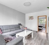 Living room with a corner sofa and a wooden decor floor in a 2-room apartment.