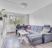 Living room in a two-room apartment with a sofa, wood-patterned flooring, and plants.