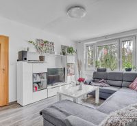 Living room in a 2-room apartment with a corner sofa and a wooden decor floor.