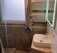 A bathroom in a 3-room apartment with a sink, shower, and ladder heating.