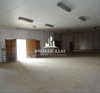 A spacious hall within Warehouses and halls with a concrete floor and lighting.