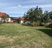 Garden in front of a family house in Plavnica, grassy area and greenery under a blue sky.