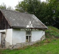 A small family house in Černochov with a wooden roof and a neglected facade.