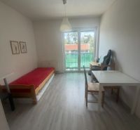 Studio apartment with furniture, wooden decor flooring, bright space, and balcony doors.