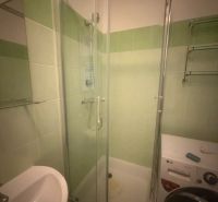 A bathroom in a studio apartment with a shower, washing machine, and sink with ceramic tiles.