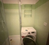 A bathroom in a studio apartment with a shower and a washing machine, green tiles.