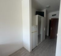 Studio apartment with wood-patterned flooring, a refrigerator, and a built-in wardrobe.