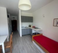 A studio apartment with a wooden floor and a kitchenette, includes a dining and sleeping area.