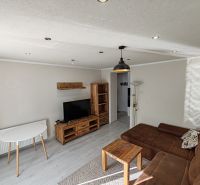 Living room in a 3-room apartment with a sofa and wooden decor furniture.