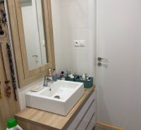 A bathroom in a 2-room apartment with a sink and furniture with a wood decor.
