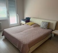 Bedroom with a bed, wooden floor decor, and a chair in a two-room apartment.