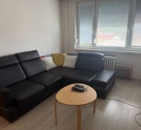 Living room in a two-room apartment with a black couch and a floor with a wood decor.