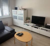 Living room in a two-room apartment with a wooden decor floor and modern furniture.