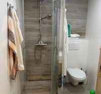 Bathroom in a 2-room apartment with a wooden decor floor and a shower corner.