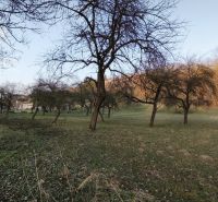 A garden with deciduous trees on a residential plot in Veľký Krtíš, A. H. Škultétyho.