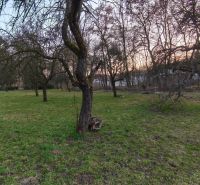 A garden with a grassy plot and trees on A. H. Škultétyho Street in Veľký Krtíš.