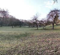 Greenery with fruit trees on a gentle slope on residential plots on A. H. Škultétyho in Veľký Krtíš.