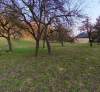 Grassy plot with fruit trees for sale in the location of A. H. Škultétyho, Veľký Krtíš.