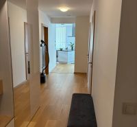A hallway with a wooden decor floor and a mirror in a 3-room apartment.